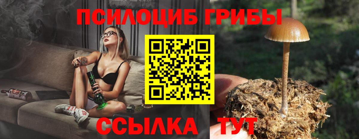 Галлюциногенные грибы Psilocybine cubensis Янаул
